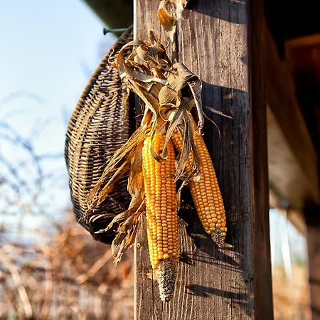 Residenza Il Girasole * 贝托纳